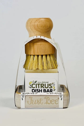 Dish Bar Essentials Set - Plastic Free by Just Bee