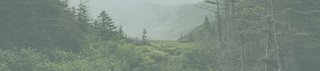 Williams Mercantile | Background