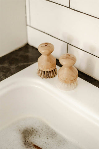 Modular Sisal Hand Brush | Cleaning Supplies