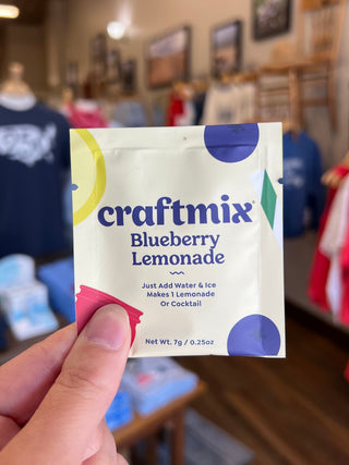 Blueberry Lemonade Cocktail / Mocktail Mixer