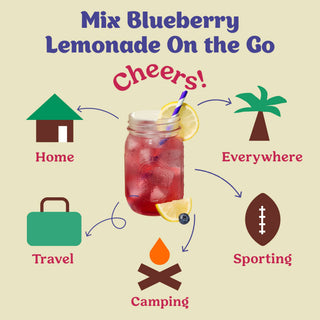 Blueberry Lemonade Cocktail / Mocktail Mixer